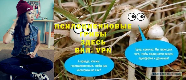PSILOCYBIN Богородицк