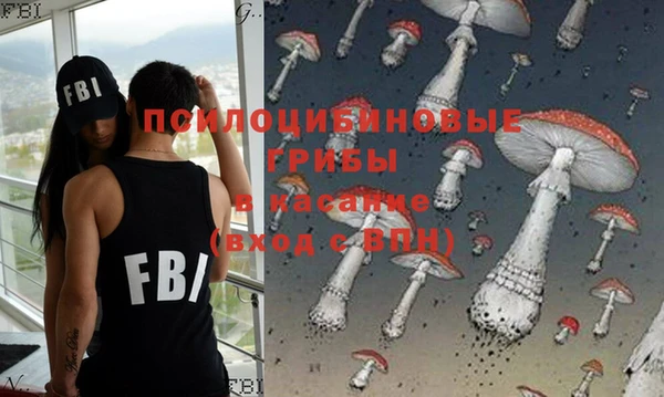 PSILOCYBIN Богородицк